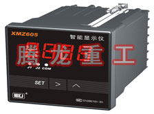 溫度表、數(shù)字顯示儀、濕度表