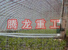 大棚花卉供暖設(shè)備、大棚卉采暖設(shè)備、大棚花卉取暖設(shè)備