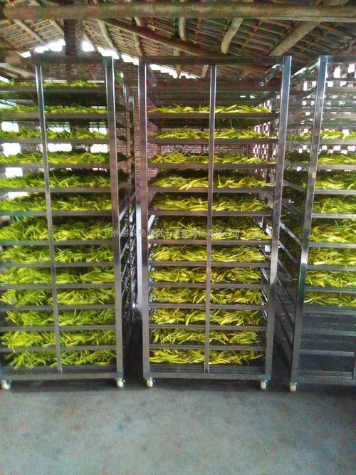 黃花菜烘干機、黃花菜烘干設備、黃花菜干燥機、黃花菜干燥設備、
